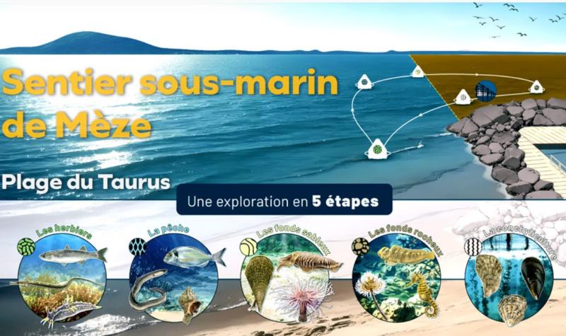 Vue du site 1