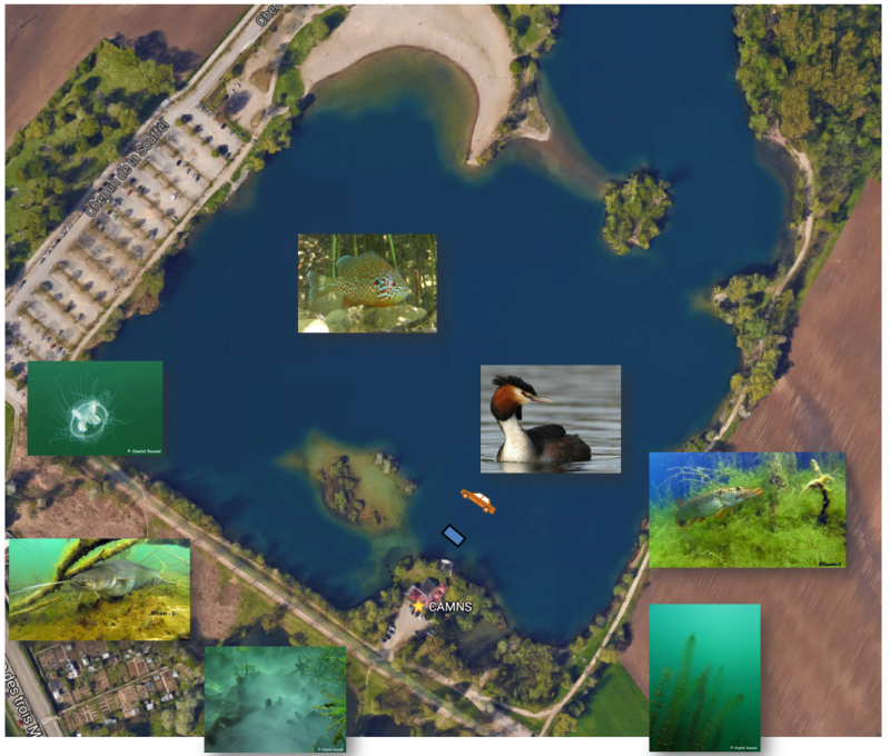 Vue du site 2